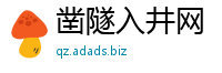 凿隧入井网